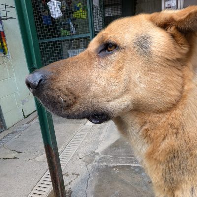 WhatsApp Image 2026-03-22 at 14.13.08