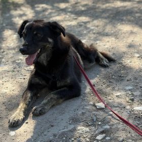 WhatsApp Image 2026-04-03 at 17.44.13