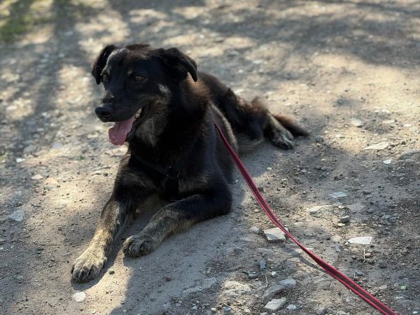 WhatsApp Image 2026-04-03 at 17.44.13