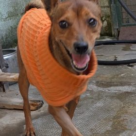 WhatsApp Image 2026-04-07 at 20.35.15