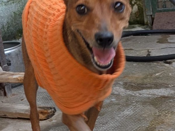 WhatsApp Image 2026-04-07 at 20.35.15