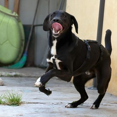 WhatsApp Image 2026-04-21 at 18.59.32