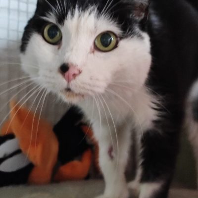 a00e0036-4b0c-46ef-b9fd-d75767aa3323