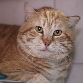 a010eb56-9962-4bd1-ab73-77d872cbf025