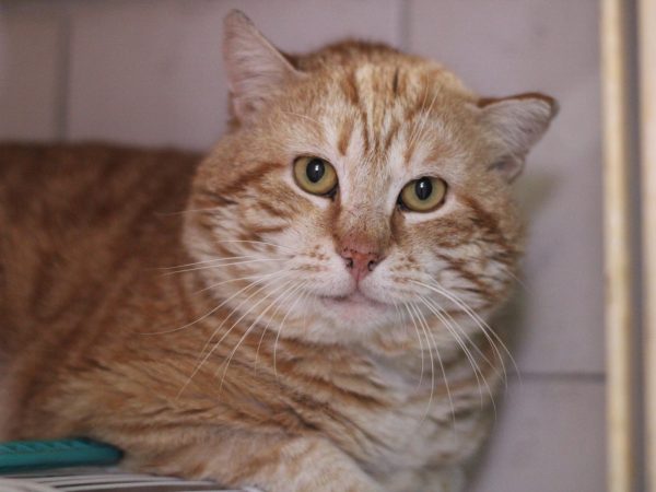 a010eb56-9962-4bd1-ab73-77d872cbf025