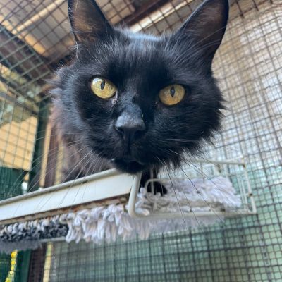 a16158f0-e577-4c83-810a-387fb00109d0