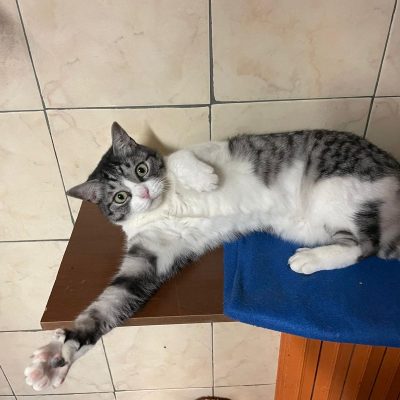 a55e6fcf-5b7d-4e64-b586-d826f804ab66