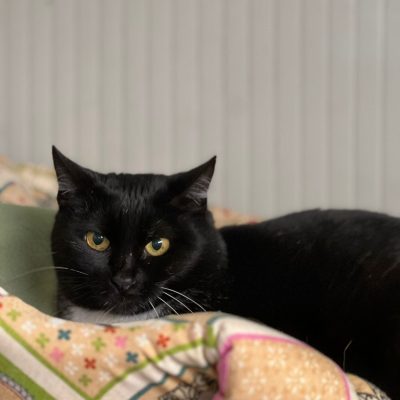 a891bf6e-92ac-4171-a9e8-b53b17bfedcc