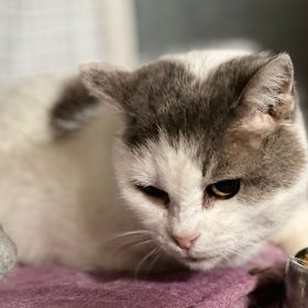 a96aa5ef-2563-4279-8160-6608d61c10de