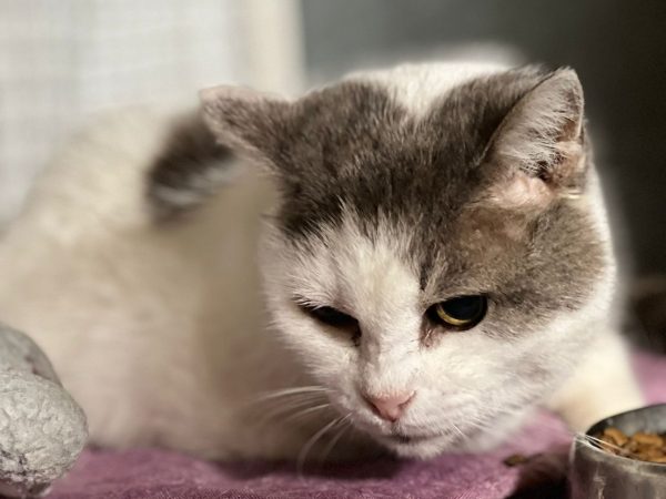 a96aa5ef-2563-4279-8160-6608d61c10de