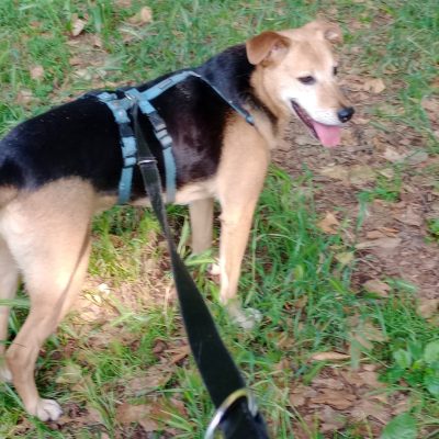 b074c2bb-eb65-42c7-827c-e04329f9daa6