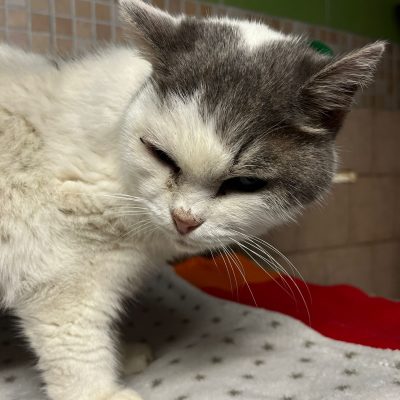 b388401d-7853-469d-8159-b50da1512cbe