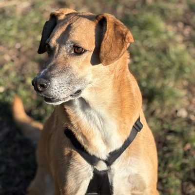 b3dc05ea-149b-4103-95ae-a8cb78c2aee4