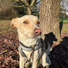 bdebc65f-1697-46c9-bf45-cd907f78d78a