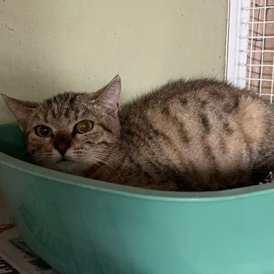 bfc254a6-694b-4b04-bc8b-640a15cbabd4