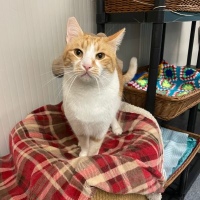 c2edeee4-21bc-4b6e-bce5-f4219e1e49e2 2