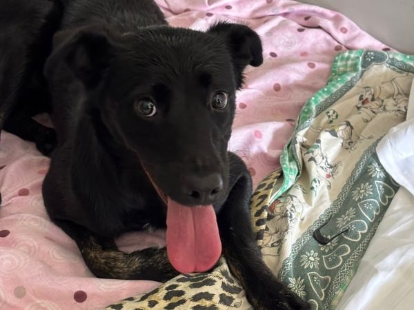 c691592c-1b66-4ad1-aa5b-ccc6f1d1ceb4