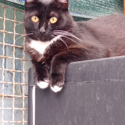 cd6f1825-b071-43ff-a6d4-8f3a84be3276