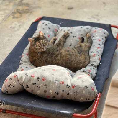 dd621573-13ff-47e2-8644-b9ea2323f46c