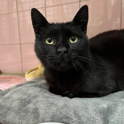 e03b59ee-5872-41e7-9ab5-834533bdcd29