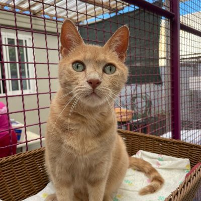 e245c23b-1994-40e1-be4b-51cf7c0d448e