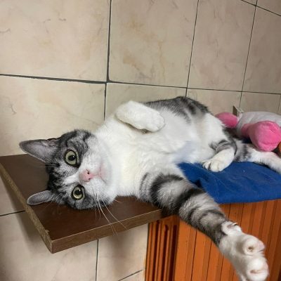 e7197bd9-022f-415a-b70d-dea3290c984f