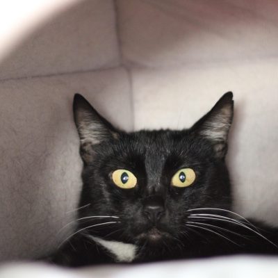 ea62c5f0-c276-4660-8e44-8ada19e815d8