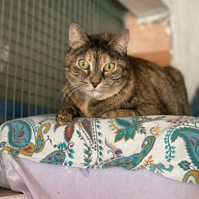 eb01a629-28f9-45cc-b042-e9322bc4d536