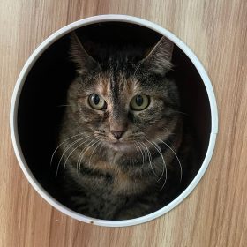 ec91b8bb-3396-47dc-87d4-bbff49ff4925