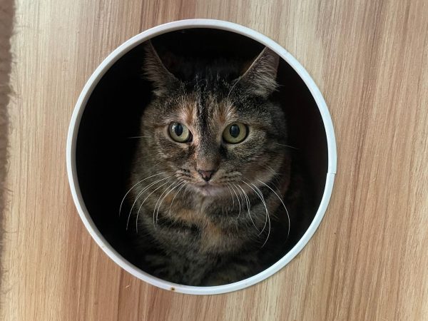 ec91b8bb-3396-47dc-87d4-bbff49ff4925