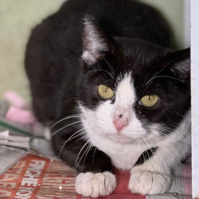 ed2b99c9-261a-48cb-982e-83fababa9f81