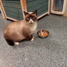 ef7f3430-746e-4709-a6ca-800d1ee50674