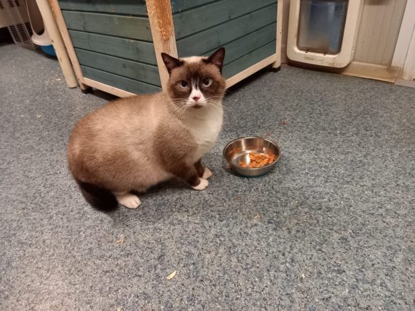 ef7f3430-746e-4709-a6ca-800d1ee50674