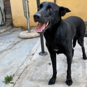 etichetta