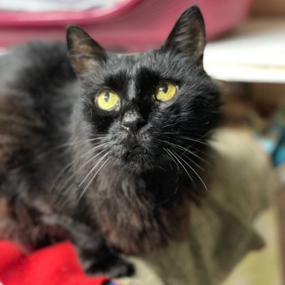 f1873d1a-df7b-44ec-9557-50af7fb51fff