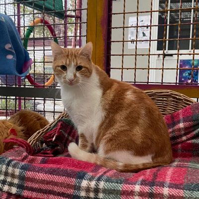 f227b29a-4497-4c28-99c2-155224d9c085 2