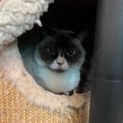 fb9ed769-b59a-4eb6-87f8-ebbbe4c0b2de