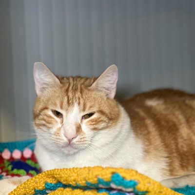 ff6f81c8-bdce-41ad-97a8-7c5c87c23eeb 2